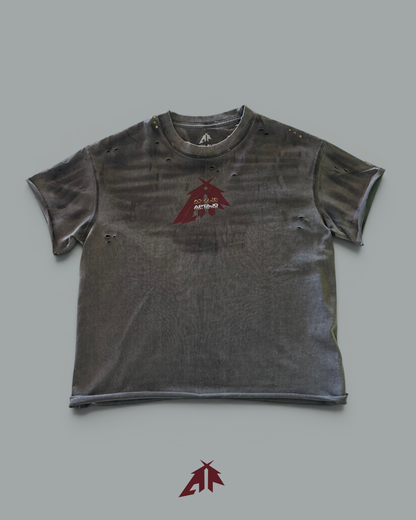#0126 SCRATCHED T