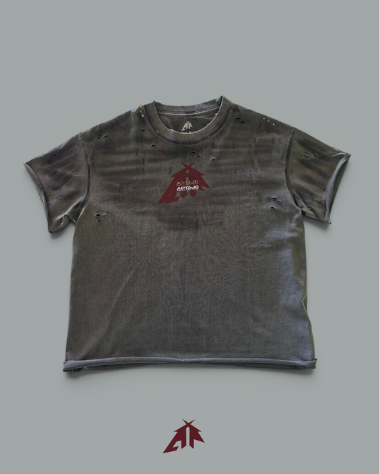 #0126 SCRATCHED T